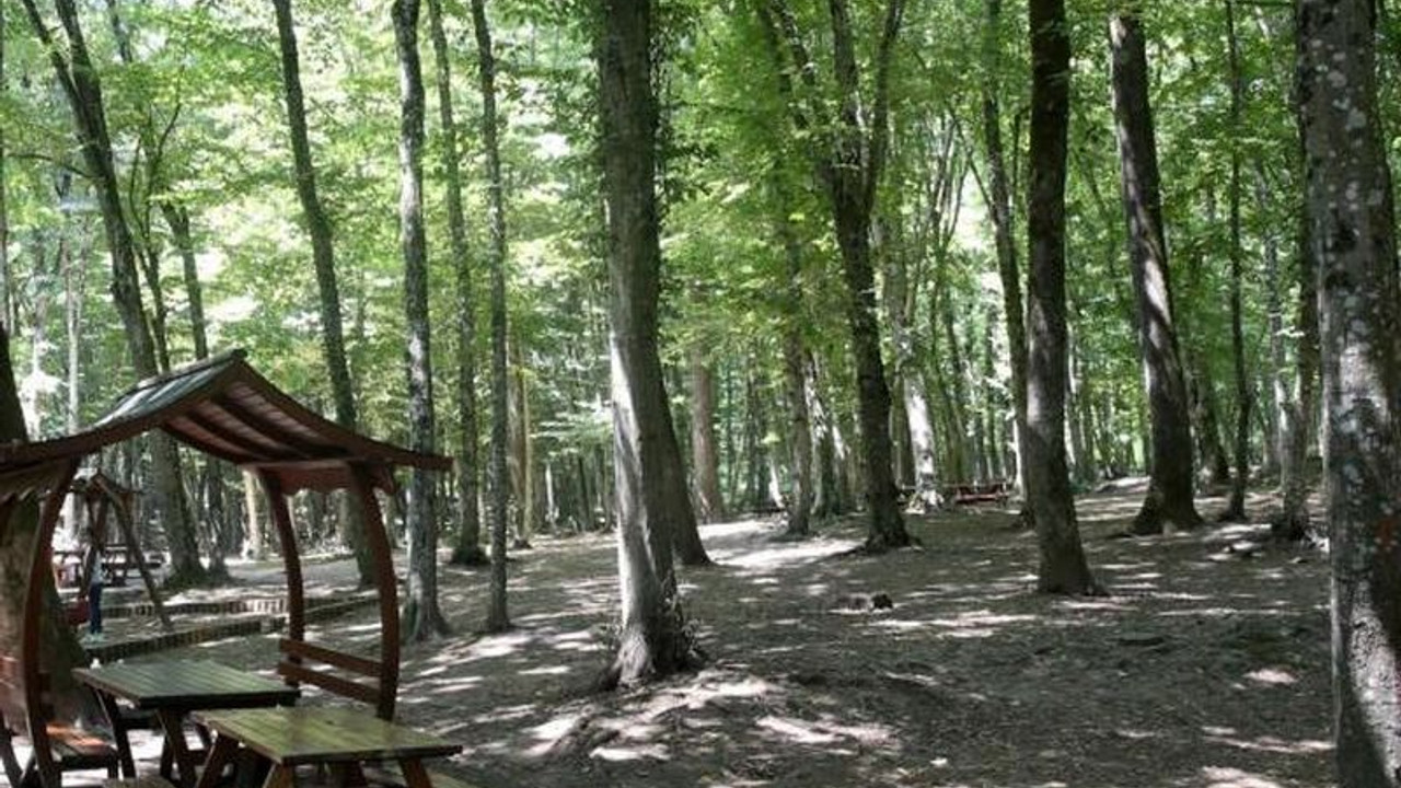 Bolu'da piknik yapmak yasaklandı