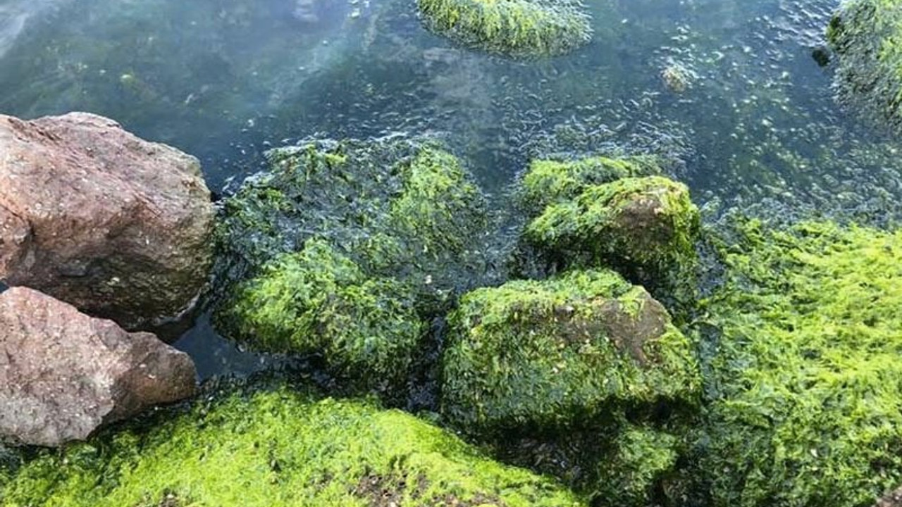 İzmir Büyükşehir Belediyesine 'Körfez' cezası: Suç duyurusunda da bulunuldu