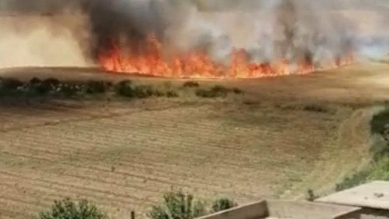 Cizre'nin buğday tarlalarında yangın