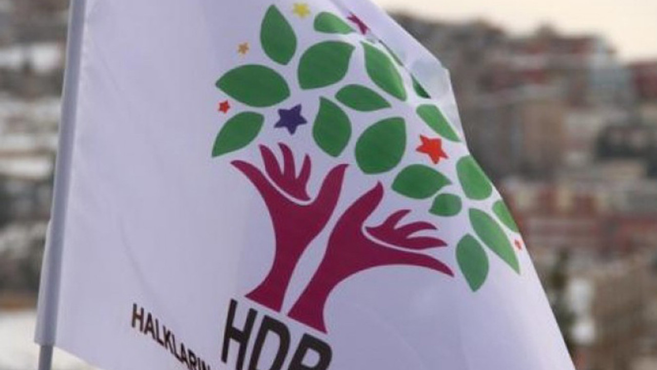 HDP'li eş başkan arama noktasında darp edildi