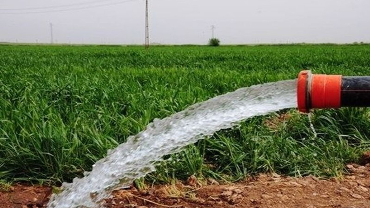 Tarlalarını sulayan çiftçilere ceza: Suyu boşa akıttınız