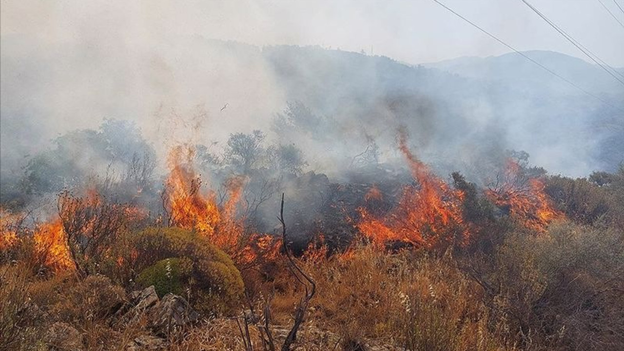 Dalaman'da orman ve makilik alanda yangın çıktı