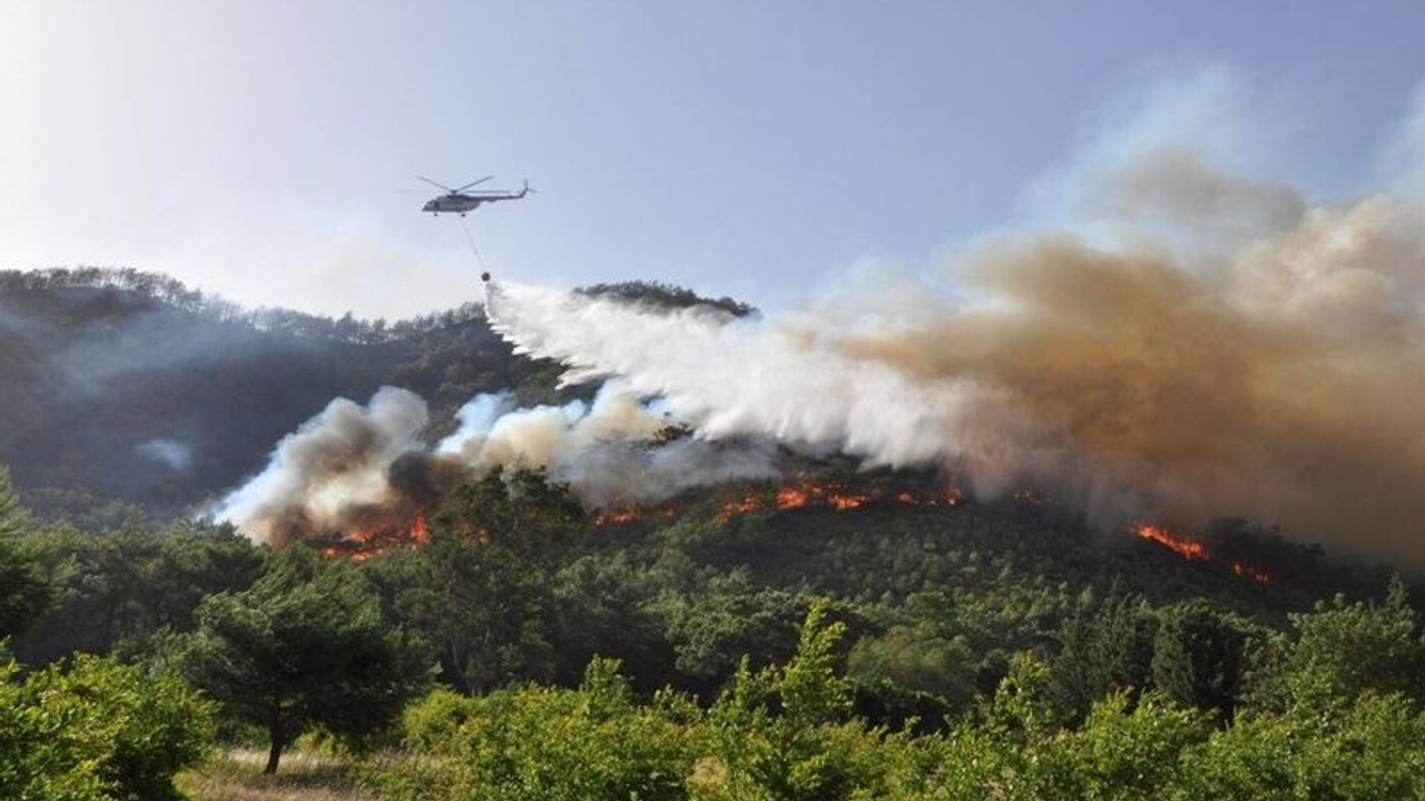 5 Haziran Dünya Çevre Günü’nde orman yangınları için kırmızı alarm