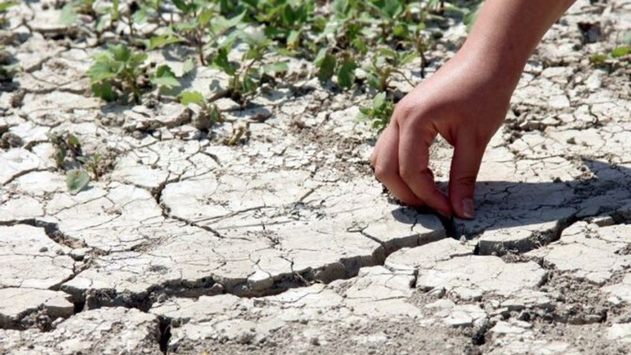 Sesi kısılan çevre STK’ları: Kimse mücadelemize kulak vermiyor