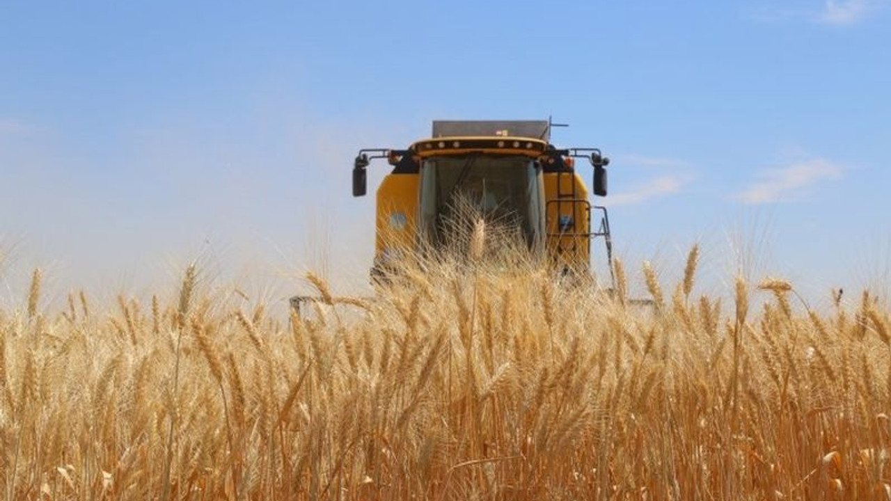 Hükümetin açıkladığı buğday alım fiyatlarına tepki: Çiftçiye darbe vuruldu