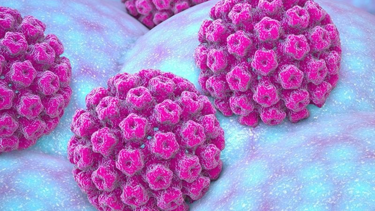 Gençlerde yayılan HPV virüsü için geniş kapsamlı araştırma başlatıldı