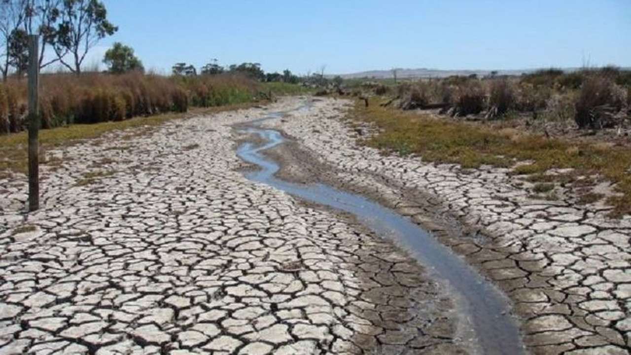 'Türkiye nisan ayından beri meteorolojik ve zirai kuraklık yaşıyor'