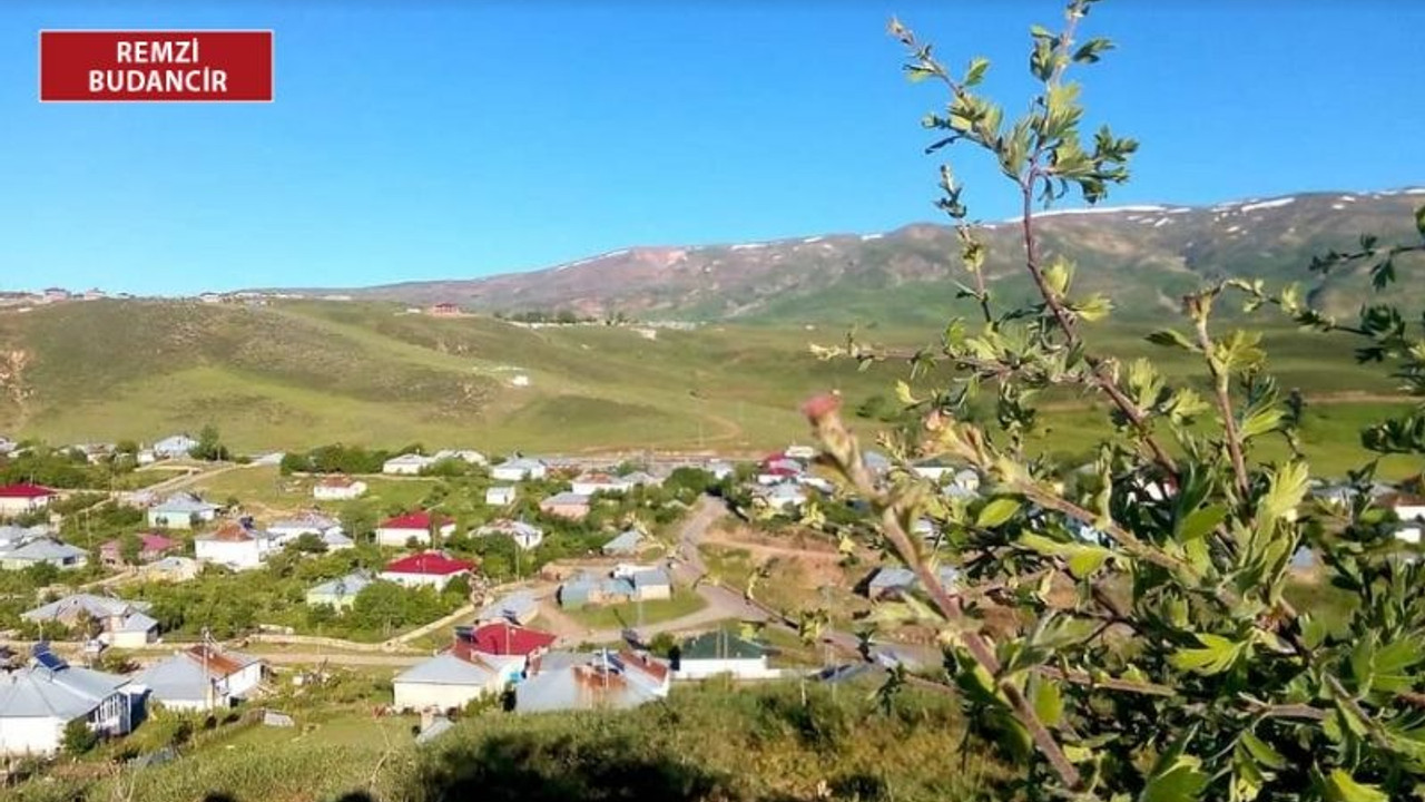 Bingöl’de doğa tahribatı: İhalesi yapılacak termik santralden 16 köy etkilenecek