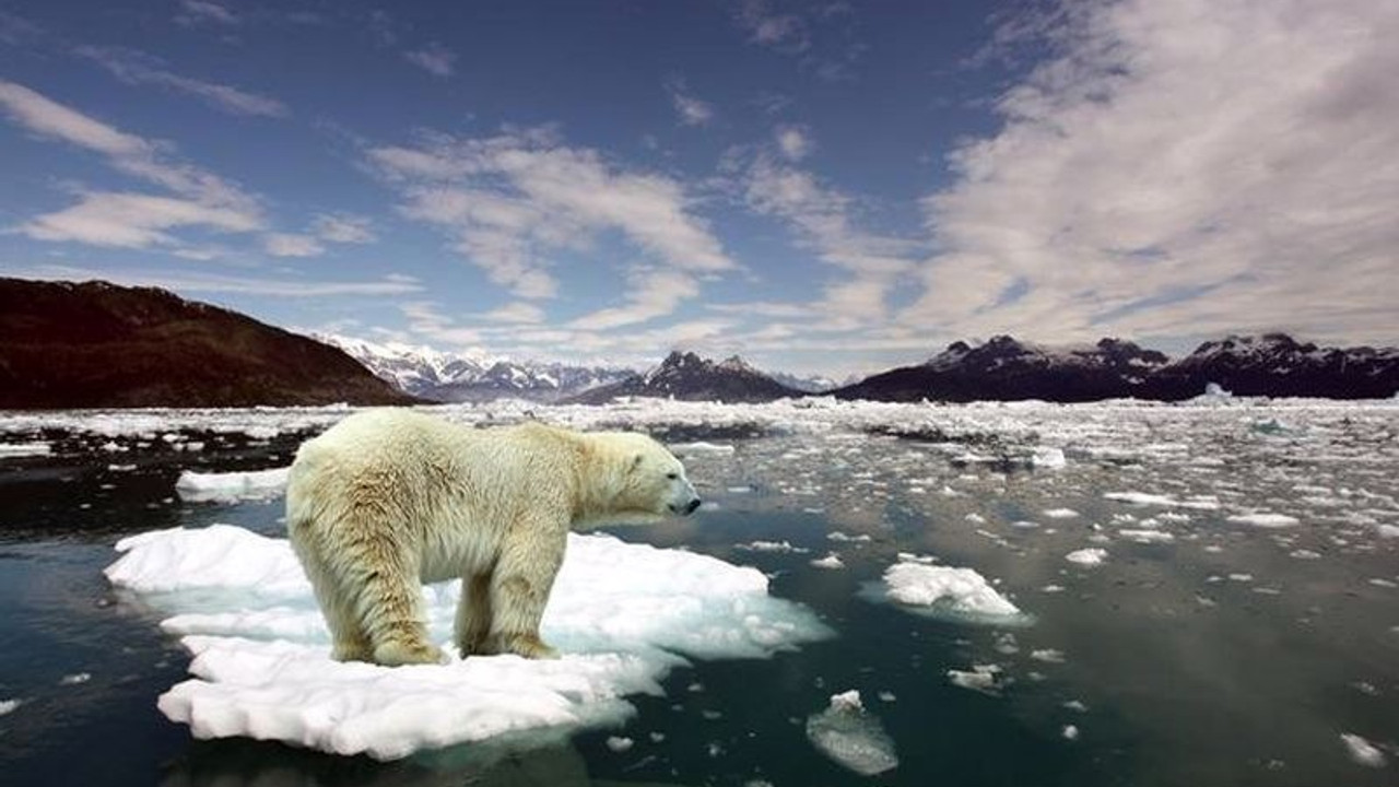 Dünya Meteoroloji Örgütü: Dört temel iklim değişikliği göstergesi 2021'de rekor kırdı