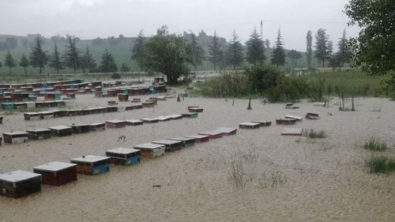 Uşak'ta yağmur nedeniyle dereler taştı, 100 kovan arı öldü