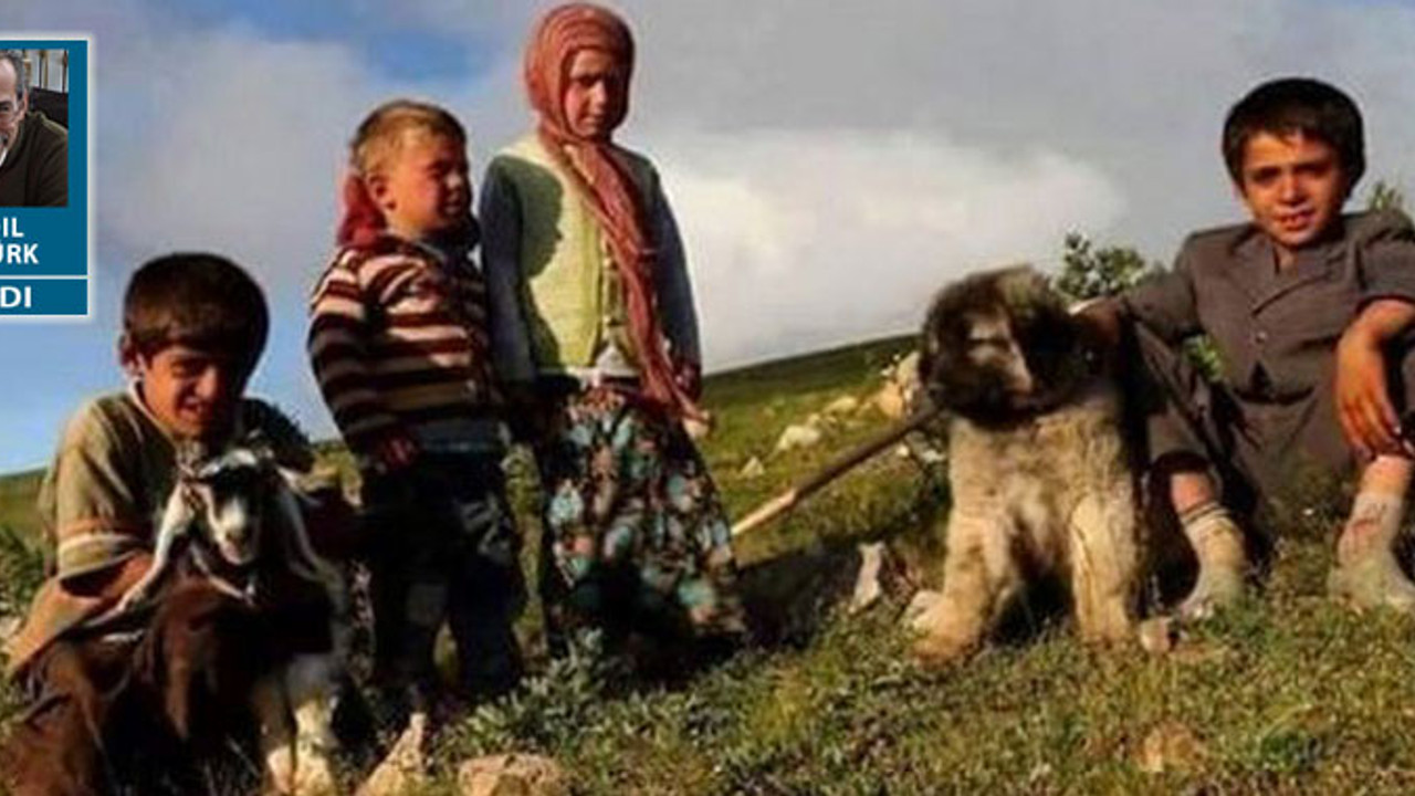 Baş olsaydı vurulurdu, dil