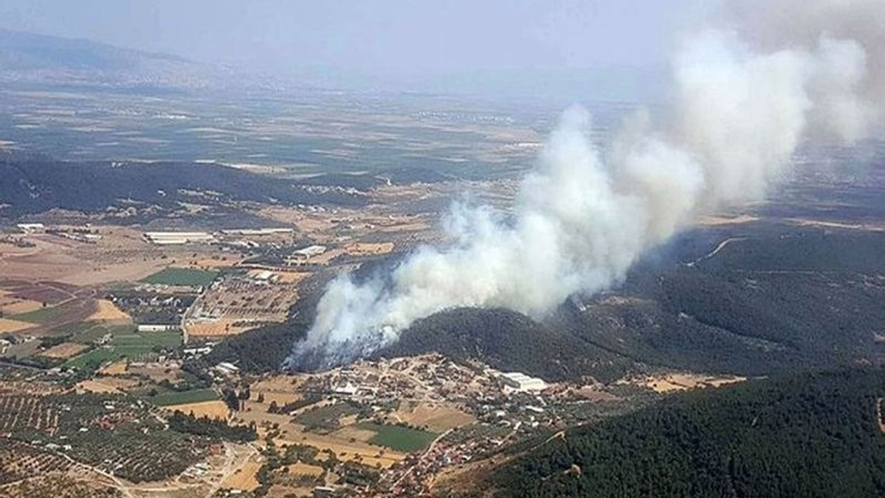 Foça’da makilik alanda yangın