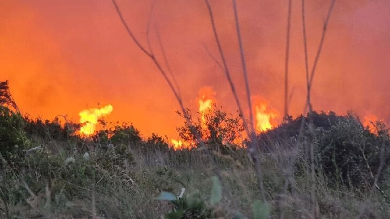 Antalya'da iki noktada çıkan yangınlar söndürüldü