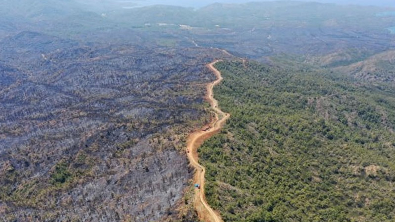 Bakan Vahit Kirişci: Marmaris'te yangın tamamen kontrol altına alındı