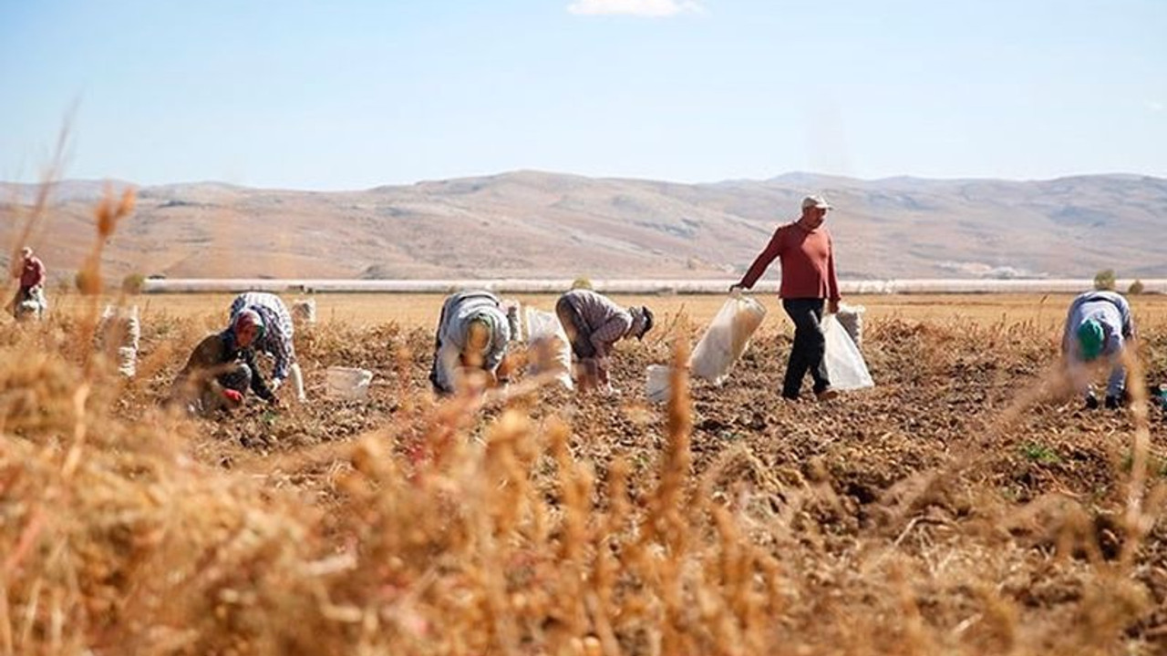 Bakanlık açıkladı: Hacizli taşınmaz sayısı yüzde 168 arttı