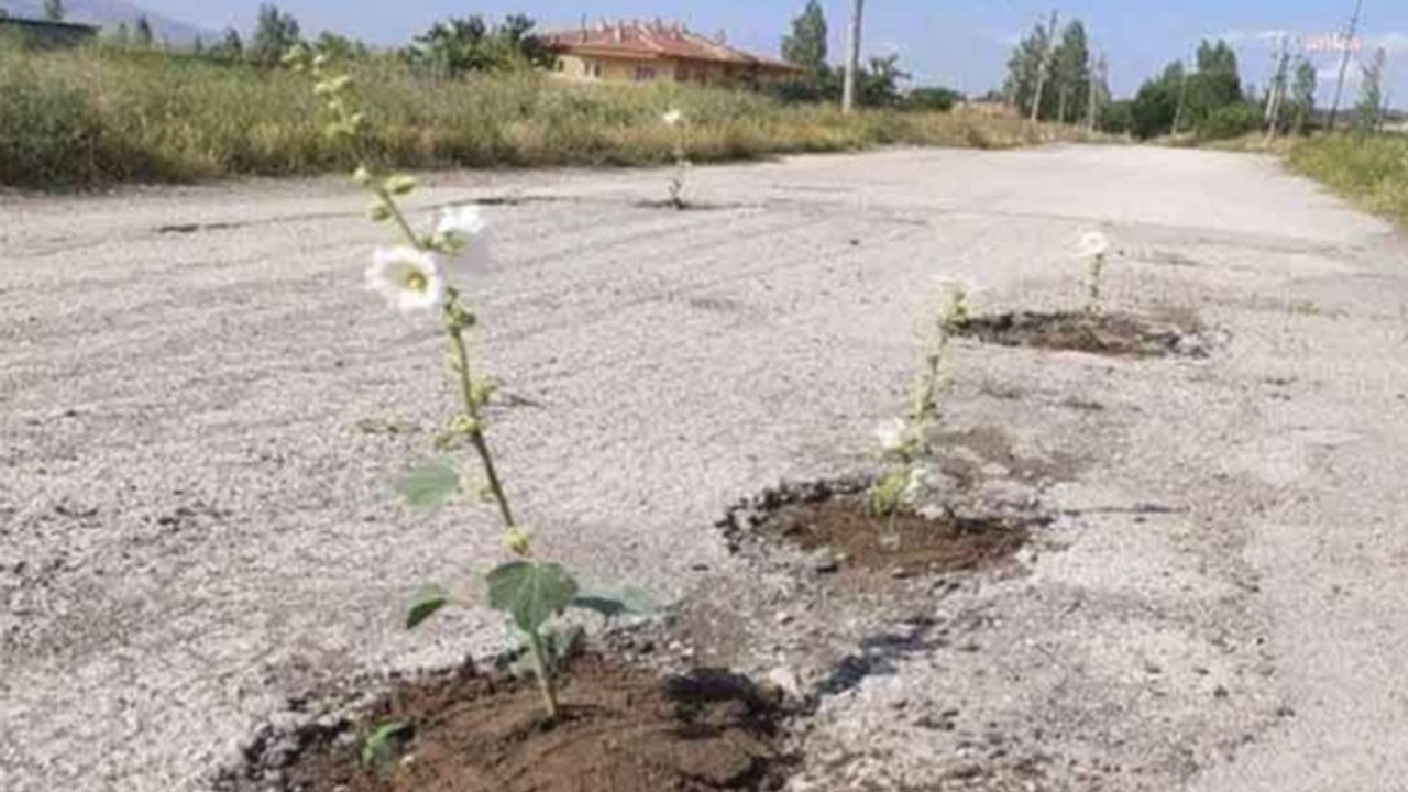 Niğdeli vatandaşlar bozuk yolları çiçek ekti, belediye de çukurları asfalt ile kapattı