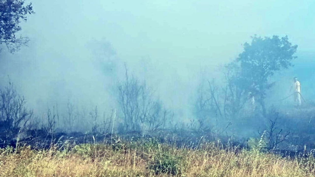 Piknik ateşiyle orman yangınına neden olan 3 kişi tutuklandı