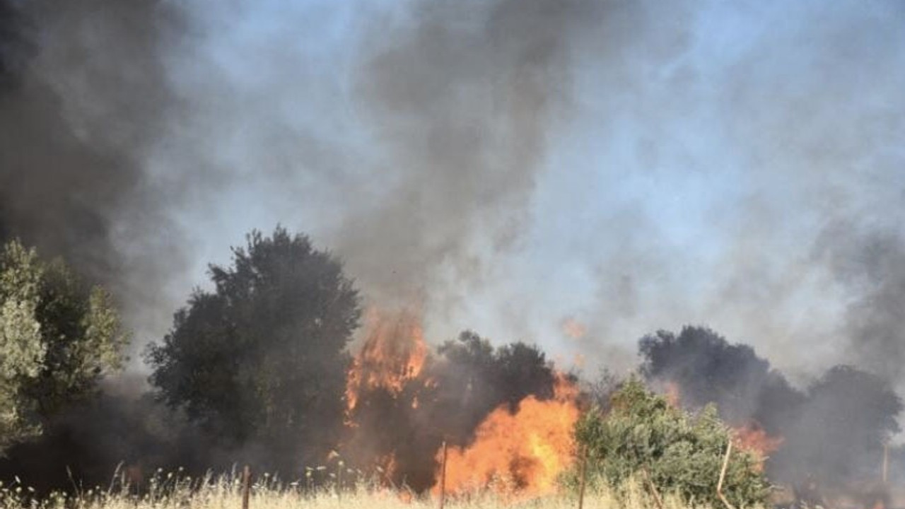 İzmir'de, palet atölyesinde çıkan yangın zeytinlik alana sıçradı