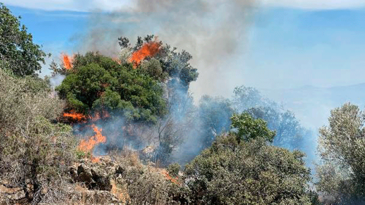 Muğla Valiliği'nden orman yangını riski uyarısı