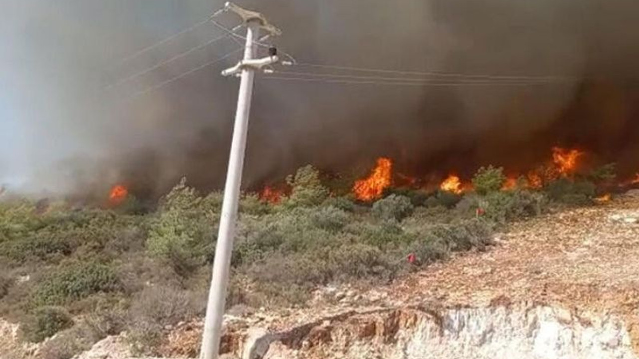 Muğla'da çıkan yangın kontrol altına alındı
