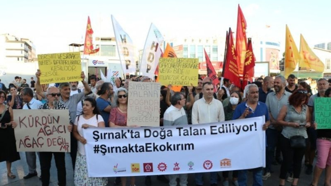 Dersim ve Şırnak’taki ağaç kesimlerine tepki: Ağaçlar rant kapısına dönüştürülüyor