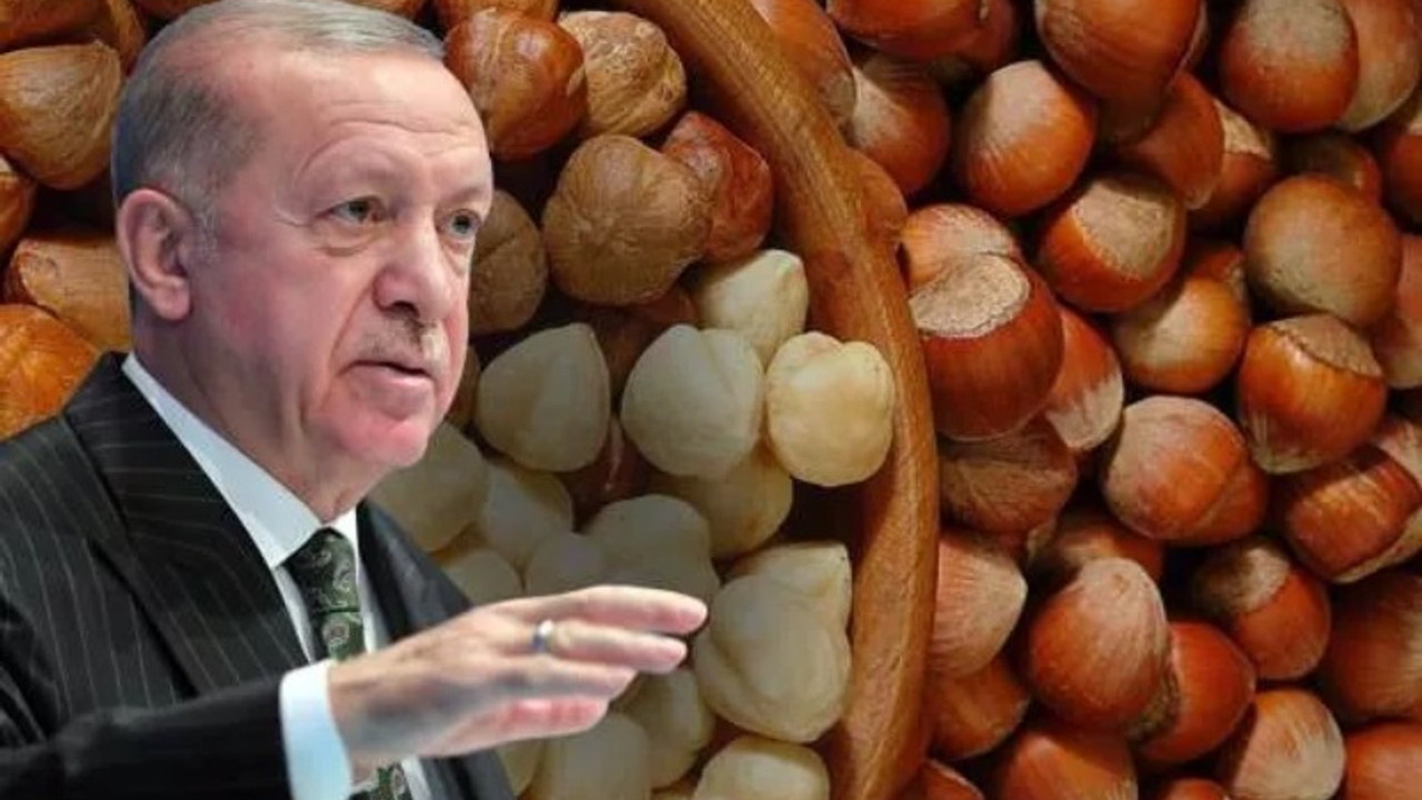 Erdoğan açıkladı: Fındık taban fiyatı 54 TL