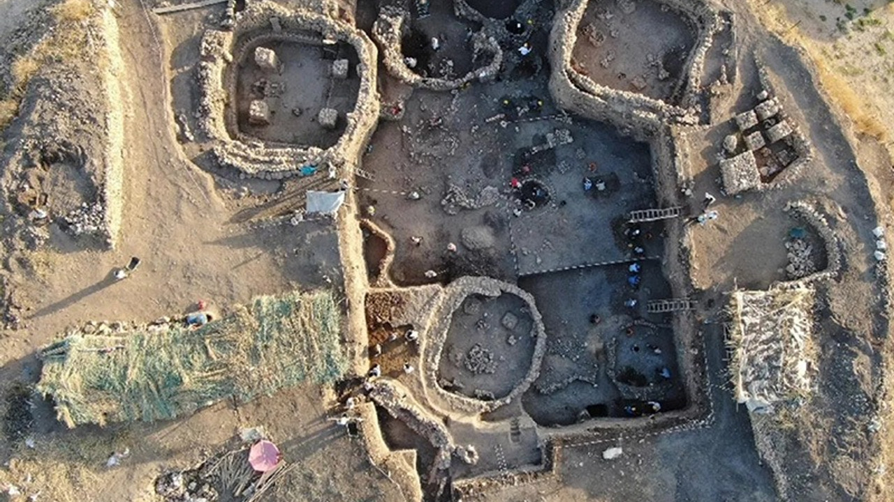 Prof. Dr. Ökse Gre Fılla’yı anlattı: Göbeklitepe'deki gibi özel