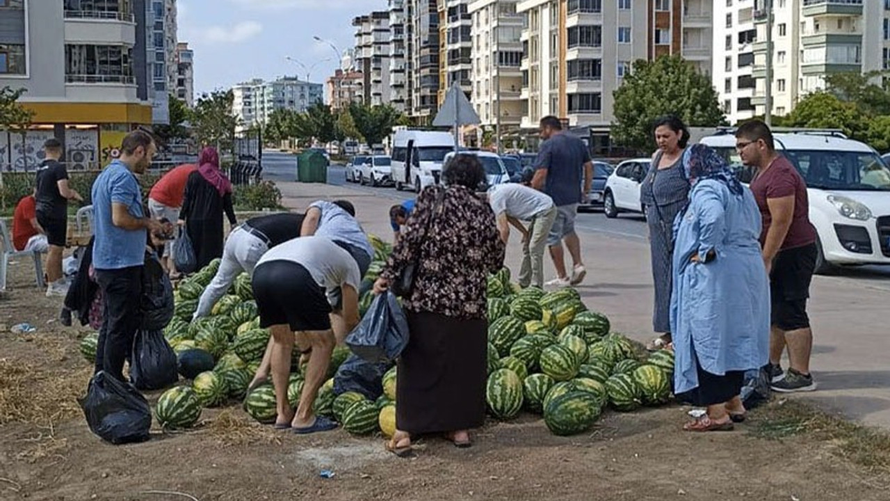 CHP’li belediyenin ucuz karpuz tezgahına AKP’li belediye kepçeyle müdahale etti