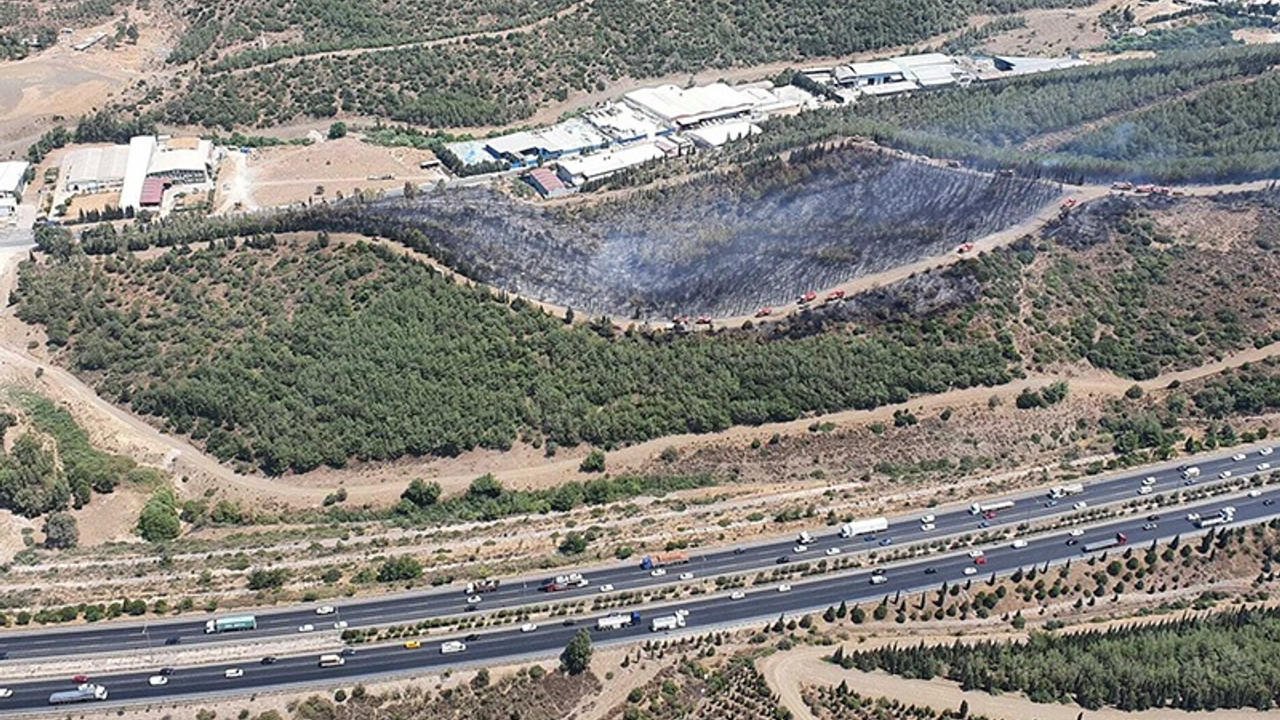 Bornova'daki orman yangını kontrol altına alındı