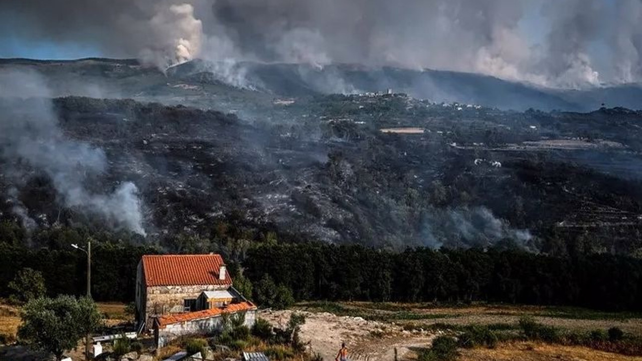 Portekiz'de süren orman yangınlarında 17 bin hektarlık alan yandı