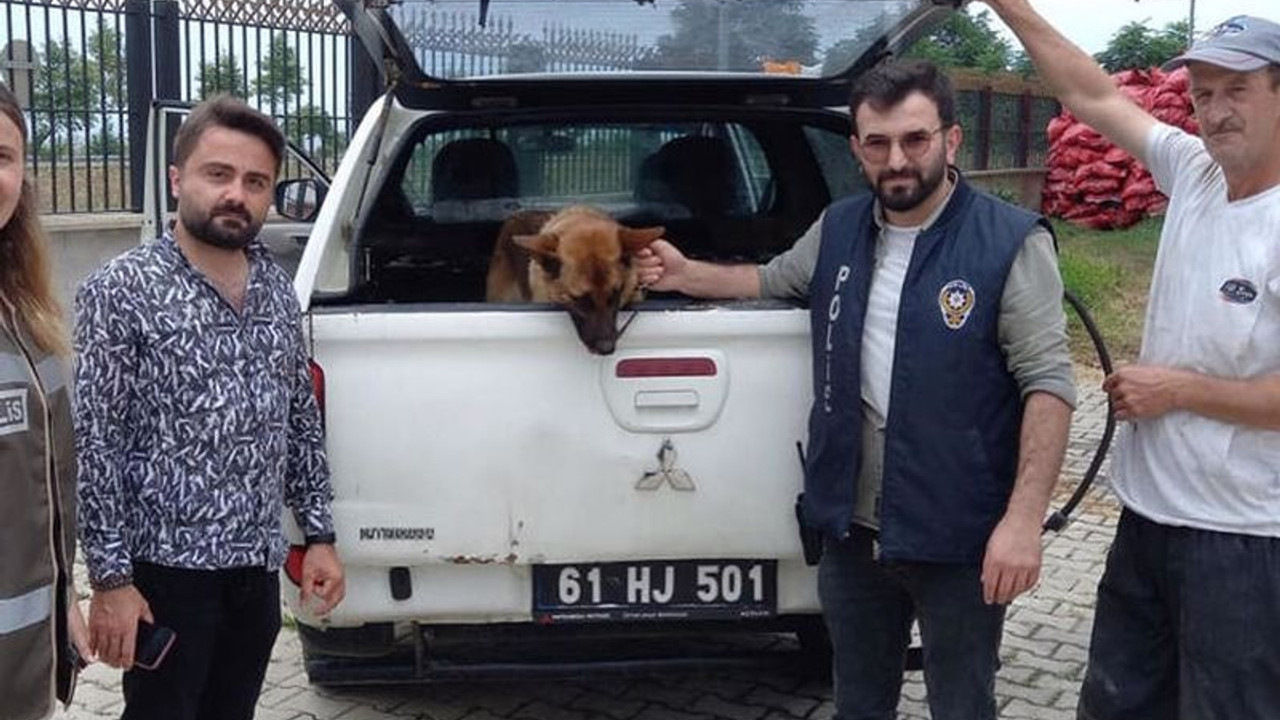 Gençlere biber gazı sıkan bekçiyi ısıran köpek 2 gün gözaltında tutuldu