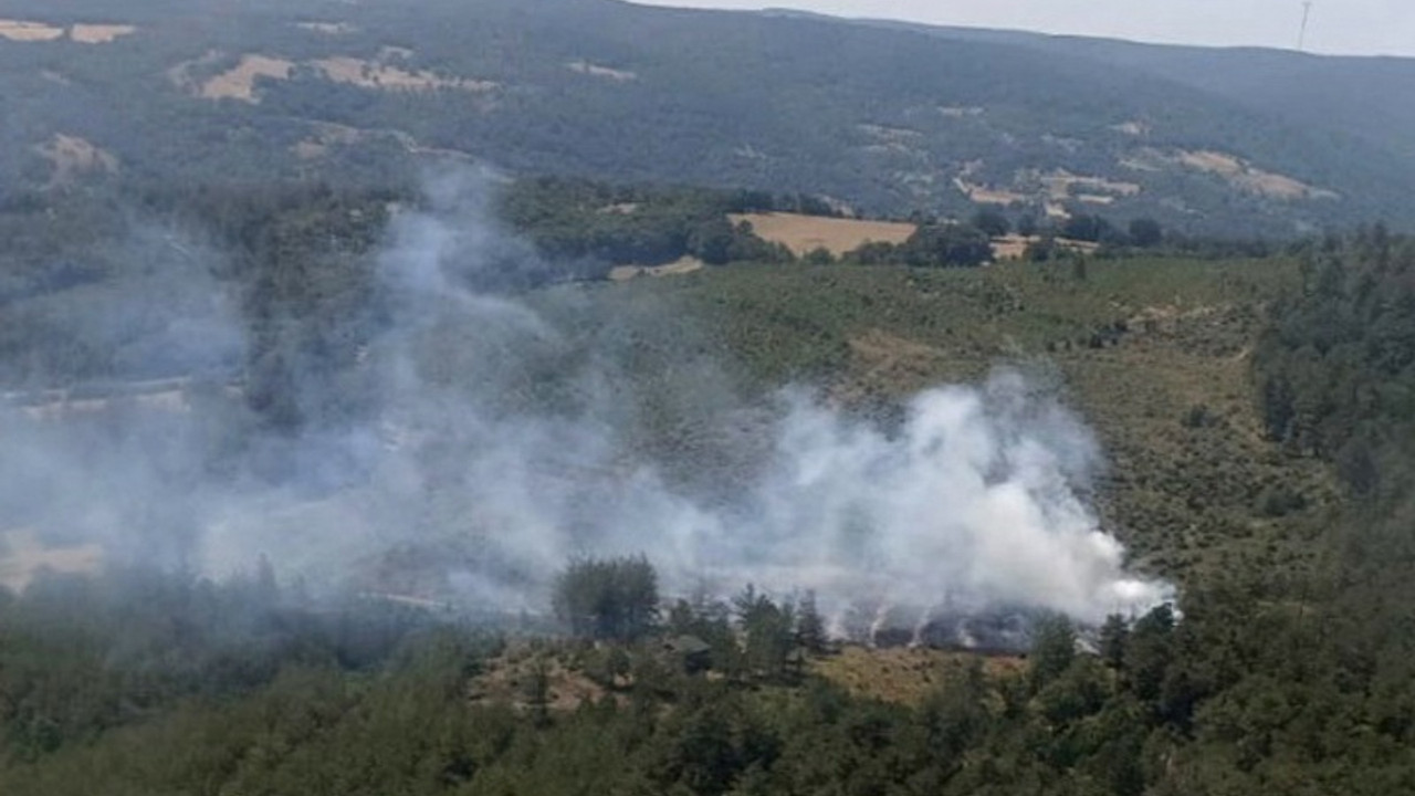 Bursa'da orman yangını