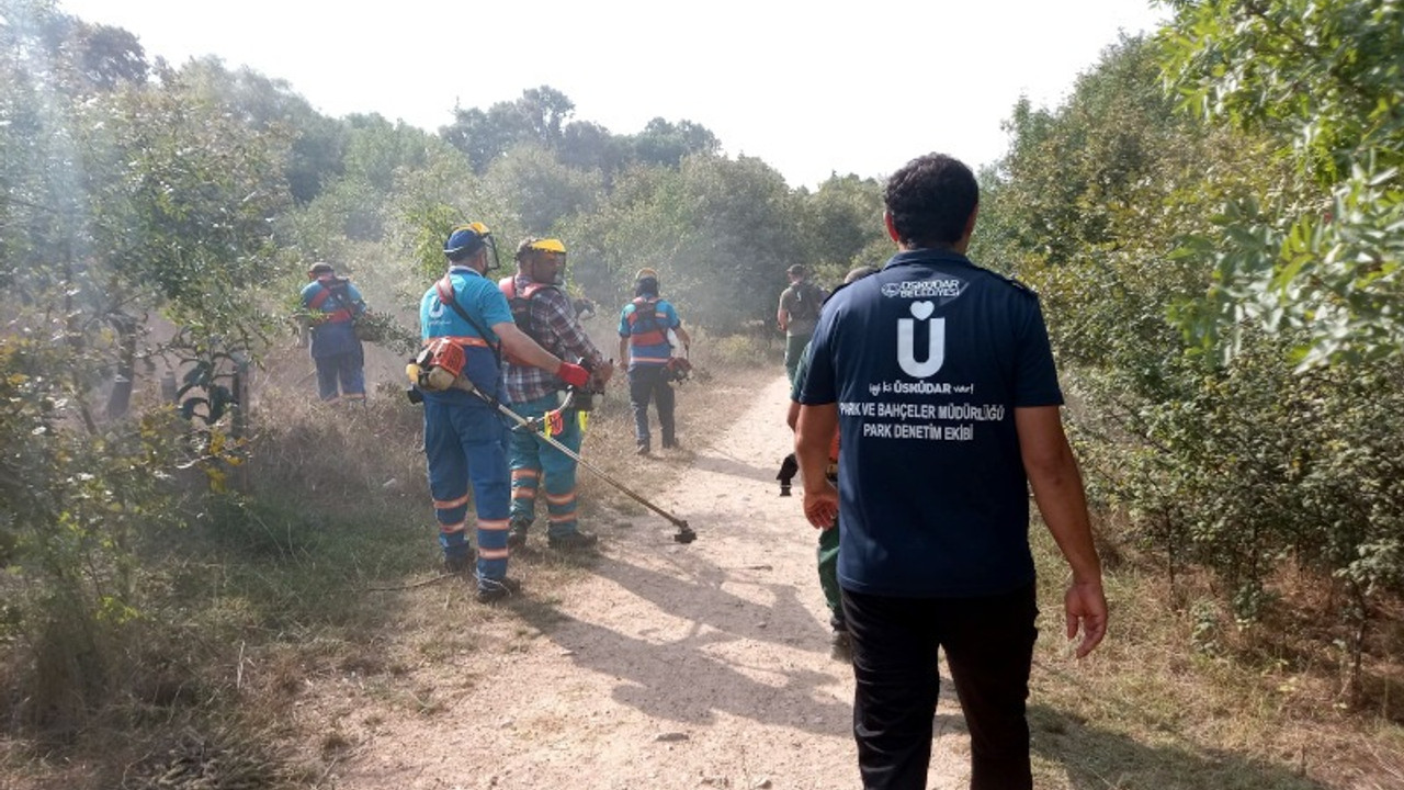 Üsküdar Belediyesi yine Validebağ Korusu'nda: Bu kez gerekçe ot biçme