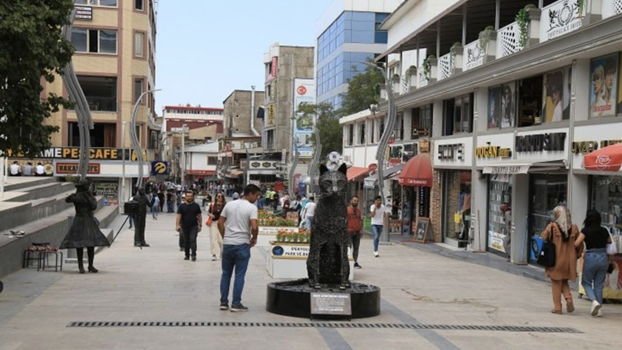 ‘Geçinemiyoruz’ diyen Vanlılar: Giderleri halkın cebinden çıkan saray yıkılmalı