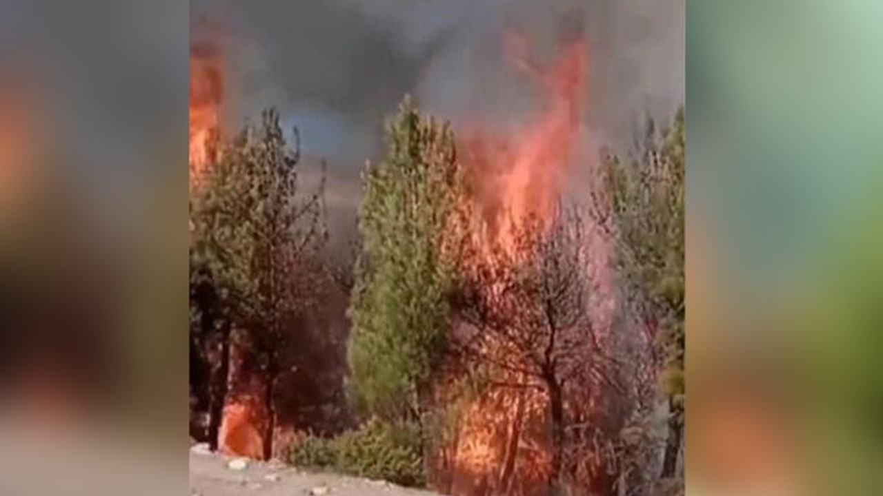 Maraş'taki orman yangınında 31 hektar alan zarar gördü