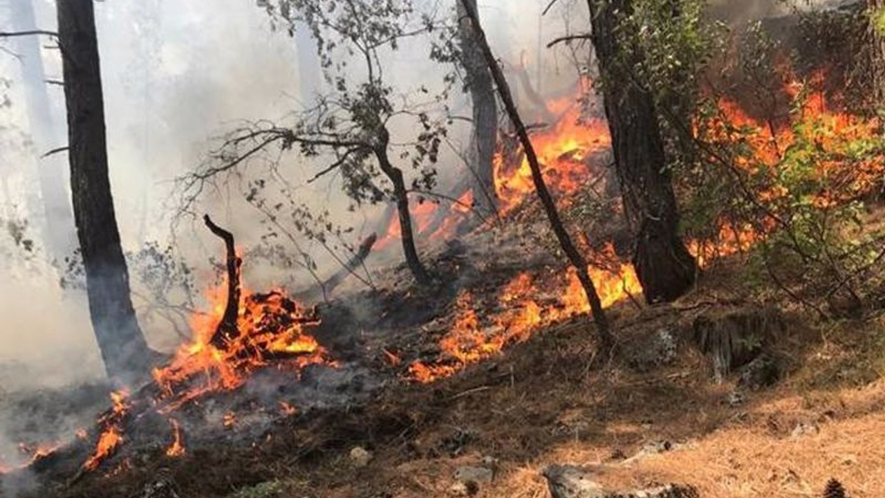 Antalya'da orman yangını