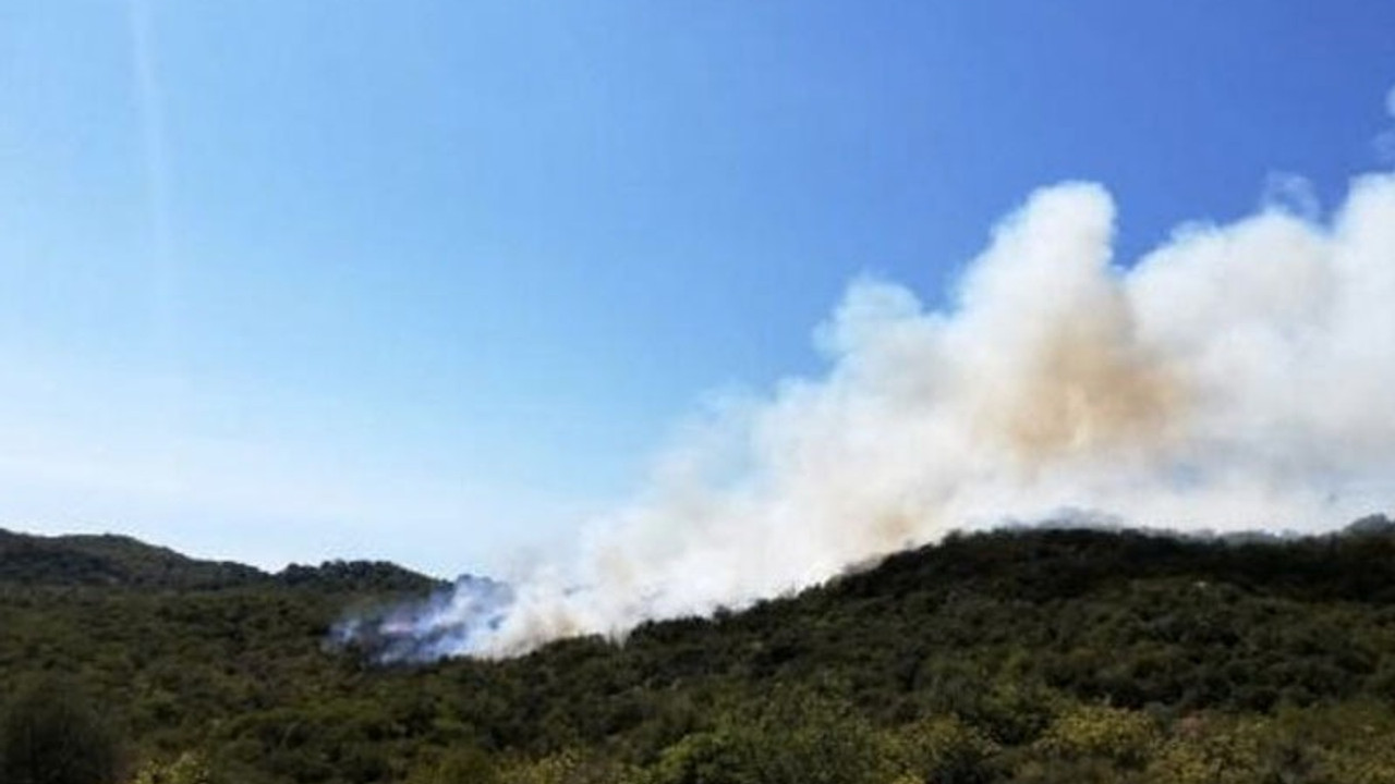 Antalya’da orman yangını