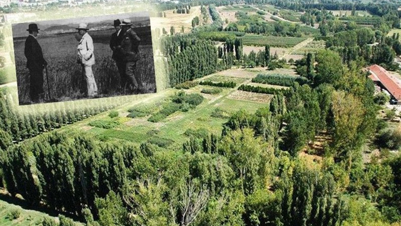 Atatürk Orman Çiftliği'ndeki lojmanlar TOBB'ye devredilmiş