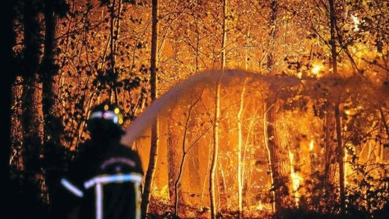 Fransa Gironde'deki yangında 3 bin hektardan fazla yeşil alan yandı