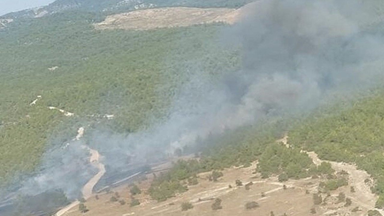 Manisa'da orman yangını