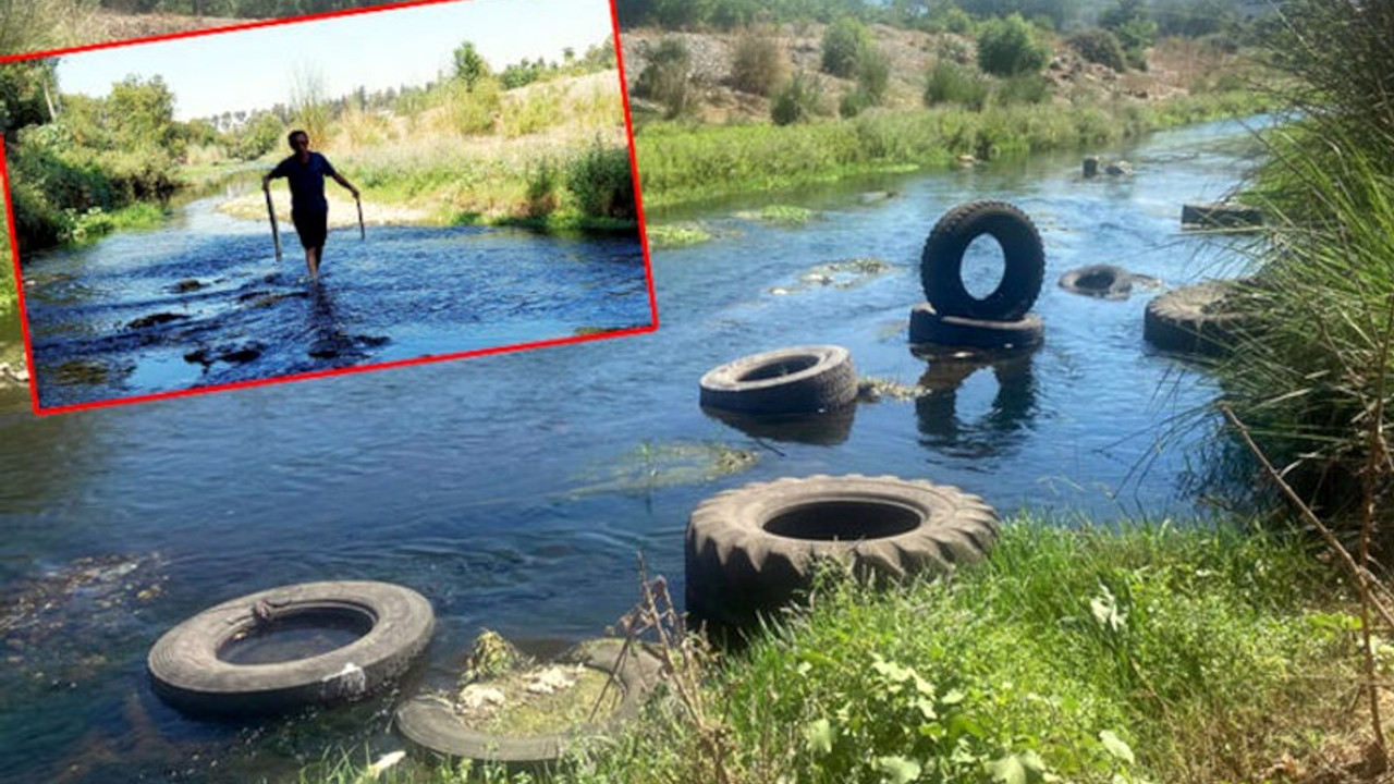 Atık lastiklerin bırakıldığı derede balık ölümleri