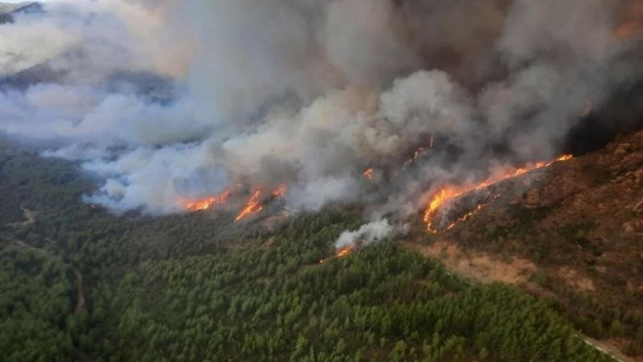 Marmaris yangını kontrol altına alındı: 85 yaşındaki arıcı gözaltına alındı