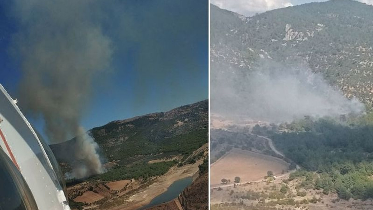 İzmir’de orman yangını