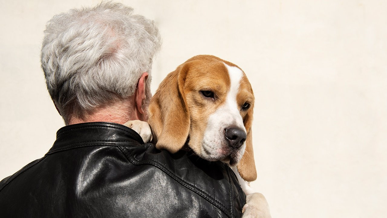 Köpeklerde katarakta çözüm