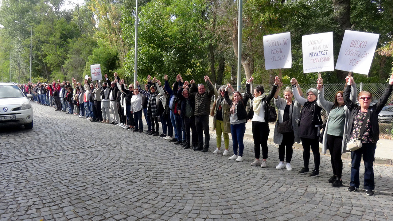 Edirne'de çevreciler insan zinciri oluşturdu: Kent ormanı 'millet bahçesi' olmasın