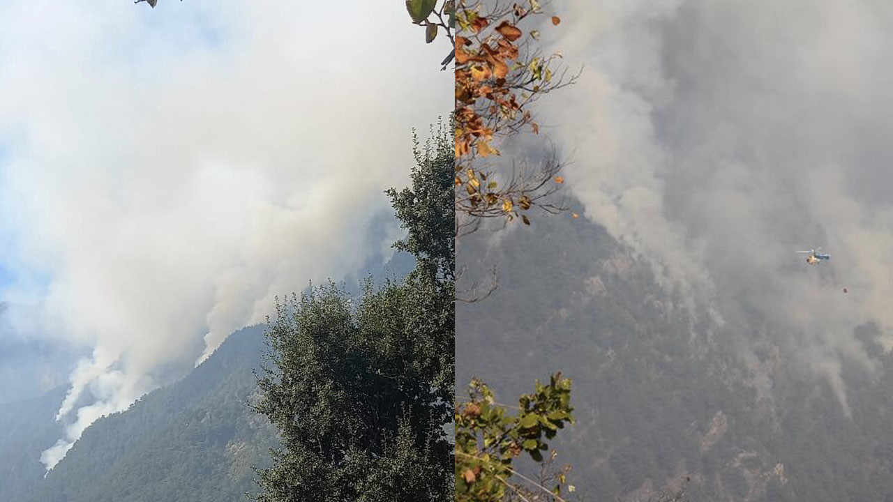 Osmaniye'deki orman yangını, dördüncü günde kontrol altına alındı