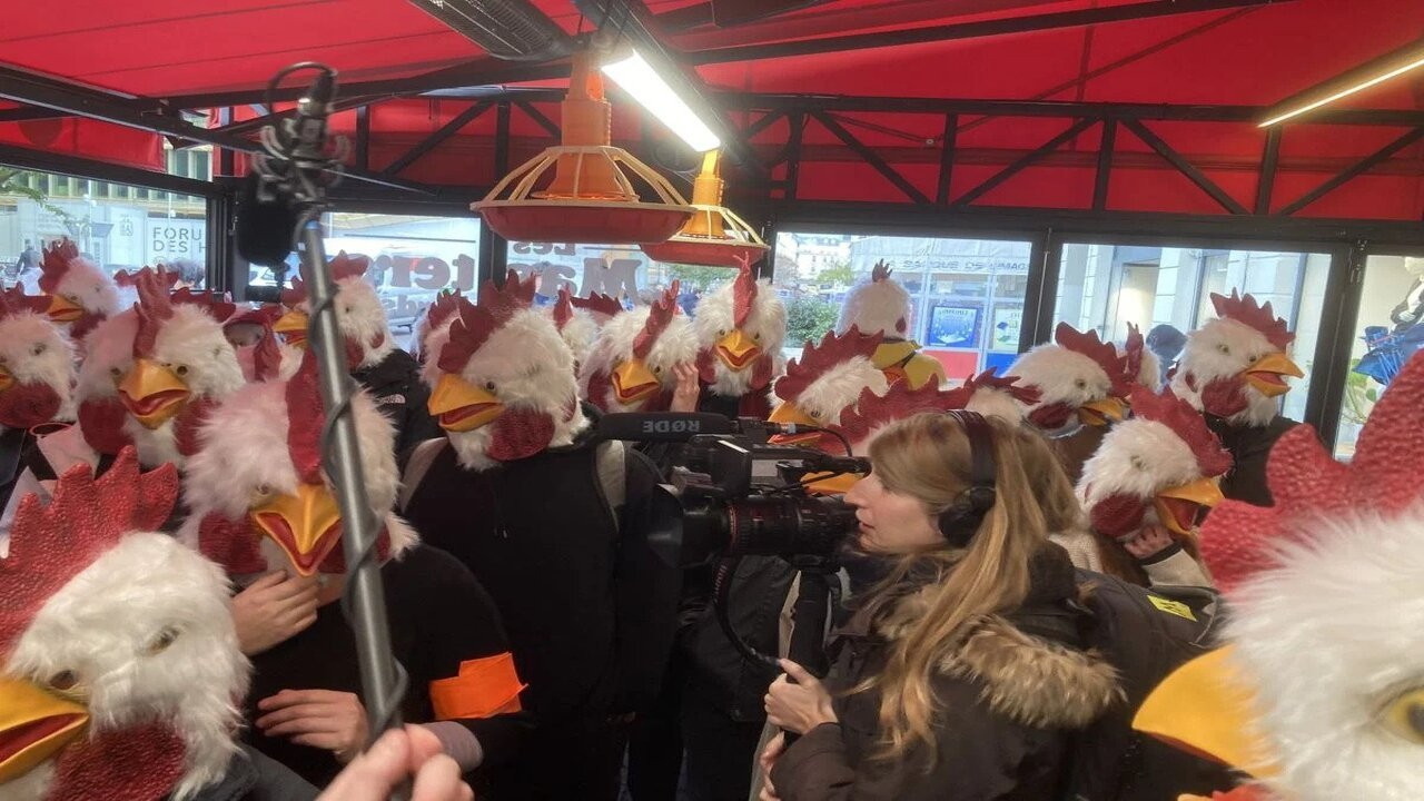 Paris'te aktivistler tavuk maskeleriyle fast food restoranını bastı