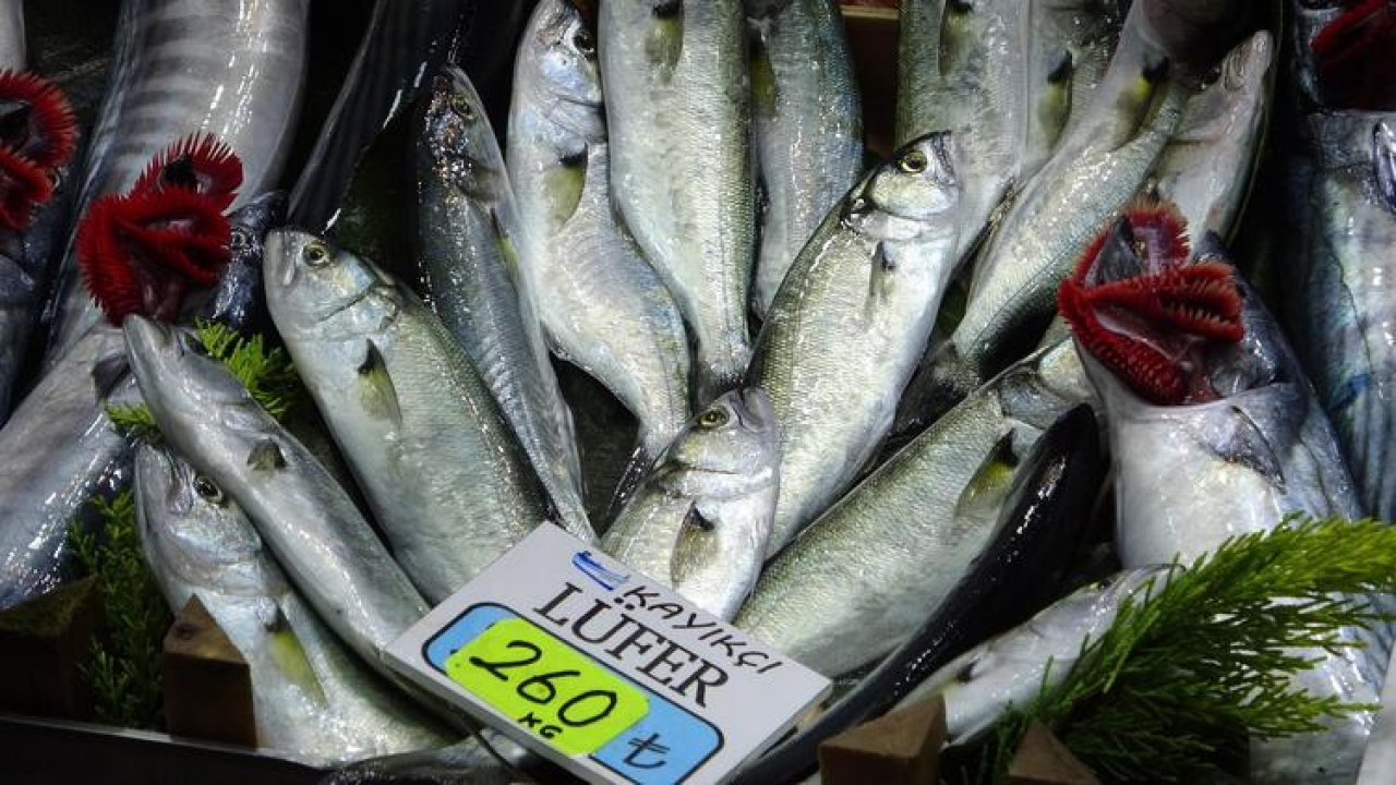 Deniz soğumadı, Marmara'da beklenen lüfer akını gecikti