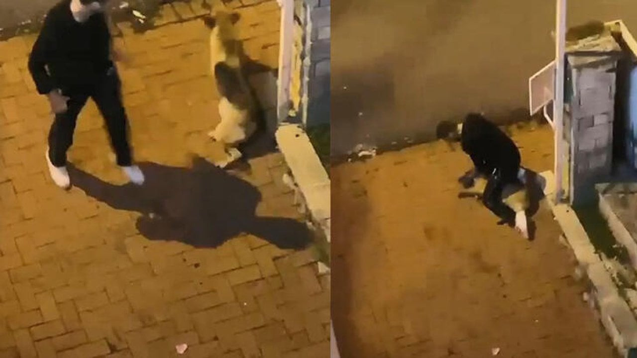 Köpeği boğarak öldürmeye çalıştı