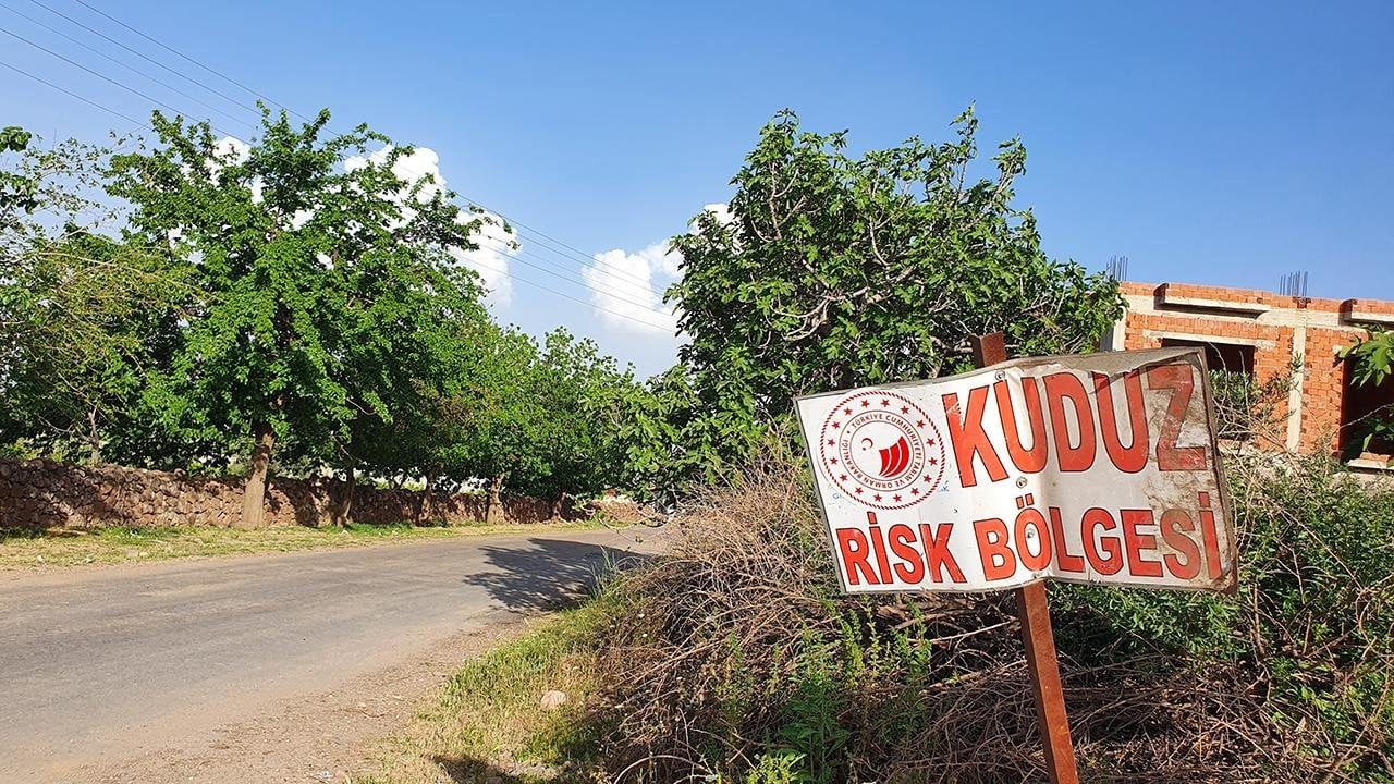 Kars'ta bir köy kuduz karantinasına alındı